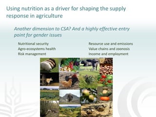 Making agriculture climate-smart at scale