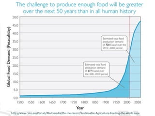 Making agriculture climate-smart at scale