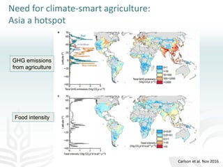 Making agriculture climate-smart at scale