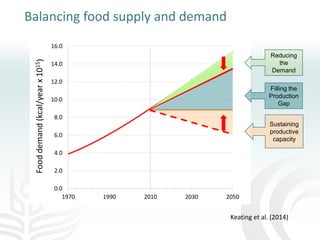Making agriculture climate-smart at scale