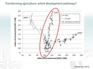Making agriculture climate-smart at scale