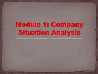 Module 1: Company Situation Analysis
