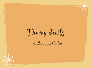 Thorny devils
  By   Jonty and Bailey
 