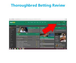 Thoroughbred Betting Review
 