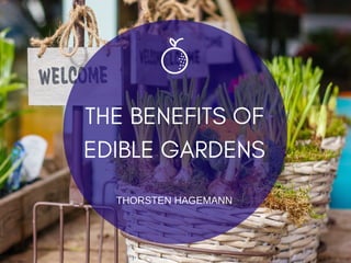 THE BENEFITS OF
EDIBLE GARDENS
THORSTEN HAGEMANN
 