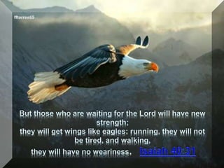 Those who are waiting for the lord