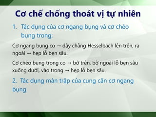 Cơ chế chống thoát vị tự nhiên
1. Tác dụng của cơ ngang bụng và cơ chéo
bụng trong:
Cơ ngang bụng co → dây chằng Hesselbach lên trên, ra
ngoài → hẹp lỗ bẹn sâu.
Cơ chéo bụng trong co → bờ trên, bờ ngoài lỗ bẹn sâu
xuống dưới, vào trong → hẹp lỗ bẹn sâu.
2. Tác dụng màn trập của cung cân cơ ngang
bụng
 