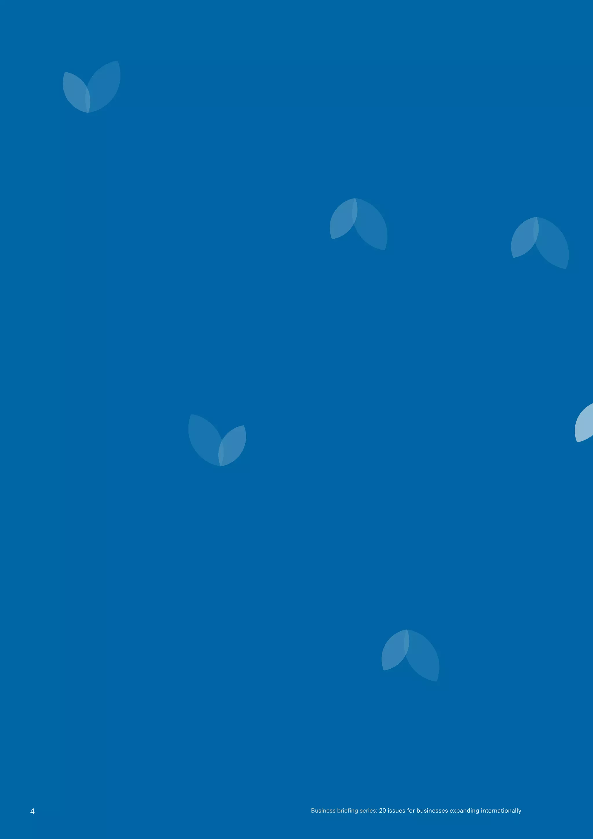 Business briefing series: 20 issues for businesses expanding internationally4
 