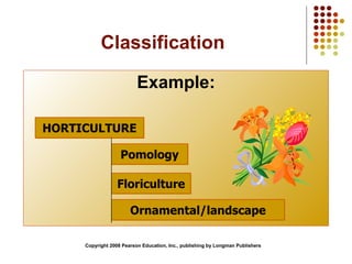 Classification Example: Copyright 2008 Pearson Education, Inc., publishing by Longman Publishers HORTICULTURE Pomology Floriculture Ornamental/landscape 
