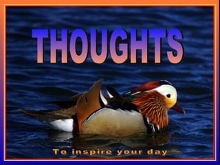 ♫ Turn on your speakers!
CLICK TO ADVANCE SLIDES
Copyright © 2007 Tommy's Window. All Rights Reserved