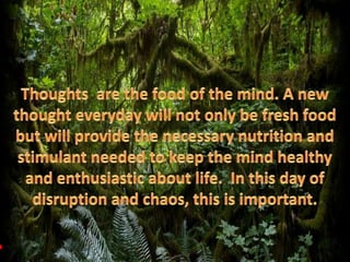 Thoughts  are the food of the mind. A new thought everyday will not only be fresh food but will provide the necessary nutrition and stimulant needed to keep the mind healthy and enthusiastic about life.  In this day of disruption and chaos, this is important.  •nareshkumarmamtani@gmail.com•  •nareshkumarmamtani@myopera.com• •mamtaninaresh@yahoo.com•  