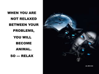 WHEN YOU ARE
NOT RELAXED
BETWEEN YOUR
PROBLEMS,
YOU WILL
BECOME
ANIMAL.
SO --- RELAX
 