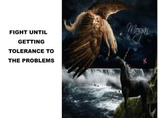 FIGHT UNTIL
GETTING
TOLERANCE TO
THE PROBLEMS
 