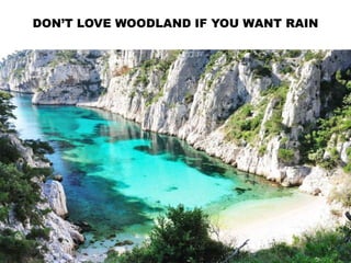 DON’T LOVE WOODLAND IF YOU WANT RAIN
 