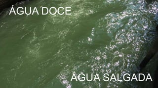 42
ÁGUA DOCE
ÁGUA SALGADA
 