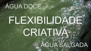 43
ÁGUA DOCE
ÁGUA SALGADA
FLEXIBILIDADE
CRIATIVA
 