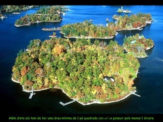 Além disto ela tem de ter uma área mínima de 1 pé quadrado  ( 900 cm² )  e possuir pelo menos 1 árvore. 