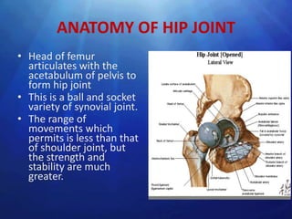 ANATOMY OF HIP JOINT
• Head of femur
  articulates with the
  acetabulum of pelvis to
  form hip joint
• This is a ball and socket
  variety of synovial joint.
• The range of
  movements which
  permits is less than that
  of shoulder joint, but
  the strength and
  stability are much
  greater.
 