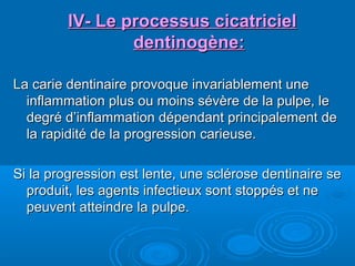 llV- Le processus cicatricielV- Le processus cicatriciel
dentinogène:dentinogène:
La carie dentinaire provoque invariablement uneLa carie dentinaire provoque invariablement une
inflammation plus ou moins sévère de la pulpe, leinflammation plus ou moins sévère de la pulpe, le
degré d’inflammation dépendant principalement dedegré d’inflammation dépendant principalement de
la rapidité de la progression carieuse.la rapidité de la progression carieuse.
Si la progression est lente, une sclérose dentinaire seSi la progression est lente, une sclérose dentinaire se
produit, les agents infectieux sont stoppés et neproduit, les agents infectieux sont stoppés et ne
peuvent atteindre la pulpe.peuvent atteindre la pulpe.
 