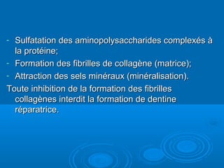 - Sulfatation des aminopolysaccharides complexés àSulfatation des aminopolysaccharides complexés à
la protéine;la protéine;
- Formation des fibrilles de collagène (matrice);Formation des fibrilles de collagène (matrice);
- Attraction des sels minéraux (minéralisation).Attraction des sels minéraux (minéralisation).
Toute inhibition de la formation des fibrillesToute inhibition de la formation des fibrilles
collagènes interdit la formation de dentinecollagènes interdit la formation de dentine
réparatrice.réparatrice.
 