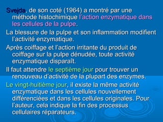 SvejdaSvejda, de son coté (1964) a montré par une, de son coté (1964) a montré par une
méthode histochimiqueméthode histochimique l’action enzymatique dansl’action enzymatique dans
les cellules de la pulpeles cellules de la pulpe..
La blessure de la pulpe et son inflammation modifientLa blessure de la pulpe et son inflammation modifient
l’activité enzymatique.l’activité enzymatique.
Après coiffage et l’action irritante du produit deAprès coiffage et l’action irritante du produit de
coiffage sur la pulpe dénudée, toute activitécoiffage sur la pulpe dénudée, toute activité
enzymatique disparaît.enzymatique disparaît.
Il faut attendreIl faut attendre le septième jourle septième jour pour trouver unpour trouver un
renouveau d’activité de la plupart des enzymes.renouveau d’activité de la plupart des enzymes.
Le vingt-huitième jourLe vingt-huitième jour, il existe la même activité, il existe la même activité
enzymatique dans les cellules nouvellementenzymatique dans les cellules nouvellement
différenciées et dans les cellules originales. Pourdifférenciées et dans les cellules originales. Pour
l’auteur, cela indique la fin des processusl’auteur, cela indique la fin des processus
cellulaires réparateurs.cellulaires réparateurs.
 