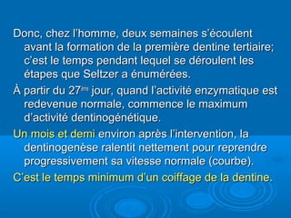 Donc, chez l’homme, deux semaines s’écoulentDonc, chez l’homme, deux semaines s’écoulent
avant la formation de la première dentine tertiaire;avant la formation de la première dentine tertiaire;
c’est le temps pendant lequel se déroulent lesc’est le temps pendant lequel se déroulent les
étapes que Seltzer a énumérées.étapes que Seltzer a énumérées.
À partir du 27À partir du 27èmeème
jour, quand l’activité enzymatique estjour, quand l’activité enzymatique est
redevenue normale, commence le maximumredevenue normale, commence le maximum
d’activité dentinogénétique.d’activité dentinogénétique.
Un mois et demiUn mois et demi environ après l’intervention, laenviron après l’intervention, la
dentinogenèse ralentit nettement pour reprendredentinogenèse ralentit nettement pour reprendre
progressivement sa vitesse normale (courbe).progressivement sa vitesse normale (courbe).
C’est le temps minimum d’un coiffage de la dentine.C’est le temps minimum d’un coiffage de la dentine.
 
