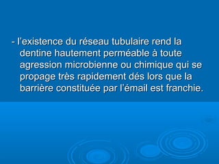 - l’existence du réseau tubulaire rend la- l’existence du réseau tubulaire rend la
dentine hautement perméable à toutedentine hautement perméable à toute
agression microbienne ou chimique qui seagression microbienne ou chimique qui se
propage très rapidement dés lors que lapropage très rapidement dés lors que la
barrière constituée par l’émail est franchie.barrière constituée par l’émail est franchie.
 