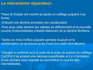 Le mécanisme réparateur:
*Hess et Svejda ont montré qu'après un coiffage pulpaire il se
forme:
-D'abord une dentine amorphe non canaliculaire.
-Puis sous cette dentine les cellules se différencient et la nouvelle
couche d'odontoblastes s'établit élaborant de la dentine fibrillaire.
*Après six mois l'orifice pulpaire persiste toujours et la
néoformation ne se trouve qu'au Fond d'un petit infundibulum.
*Gaugler a confirmé qu'a la suite de la pose du produit du coiffage
Ca(Oh)2 il se produit une nécrose superficielle et il y a formation
d'une eschare sous laquelle se reconstitue la couche des
odontoblastes.
 