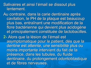 Salivaires et ainsi l’émail se dissout plusSalivaires et ainsi l’émail se dissout plus
lentement.lentement.
Au contraire, dans la carie dentinaire aprèsAu contraire, dans la carie dentinaire après
cavitation, le PH de la plaque est beaucoupcavitation, le PH de la plaque est beaucoup
plus bas, entraînant une modification de laplus bas, entraînant une modification de la
flore bactérienne qui devient plus acidogèneflore bactérienne qui devient plus acidogène
et principalement constituée de lactobacilles.et principalement constituée de lactobacilles.
2-2- Alors que la lésion de l’émail estAlors que la lésion de l’émail est
asymptomatique pour le patient, dés que laasymptomatique pour le patient, dés que la
dentine est atteinte, une sensibilité plus oudentine est atteinte, une sensibilité plus ou
moins importante intervient du fait de lamoins importante intervient du fait de la
présence, dans les tubules, du fluideprésence, dans les tubules, du fluide
dentinaire, du prolongement odontoblastiquedentinaire, du prolongement odontoblastique
et de fibres nerveuses.et de fibres nerveuses.
 