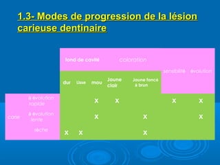 1.3- Modes de progression de la lésion1.3- Modes de progression de la lésion
carieuse dentinairecarieuse dentinaire
fond de cavité coloration
sensibilité évolution
dur Lisse mou
Jaune
clair
Jaune foncé
à brun
carie
à évolution
rapide
x x x x
à évolution
lente
x x x
sèche
x x x
 
