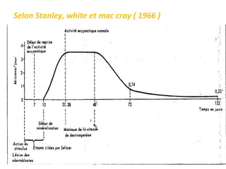 Selon Stanley, white et mac cray ( 1966 )
 