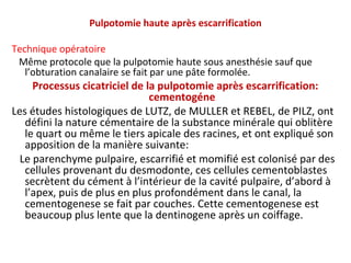 Pulpotomie haute après escarrification
Technique opératoire
Même protocole que la pulpotomie haute sous anesthésie sauf que
l’obturation canalaire se fait par une pâte formolée.
Processus cicatriciel de la pulpotomie après escarrification:
cementogéne
Les études histologiques de LUTZ, de MULLER et REBEL, de PILZ, ont
défini la nature cémentaire de la substance minérale qui oblitère
le quart ou même le tiers apicale des racines, et ont expliqué son
apposition de la manière suivante:
Le parenchyme pulpaire, escarrifié et momifié est colonisé par des
cellules provenant du desmodonte, ces cellules cementoblastes
secrètent du cément à l’intérieur de la cavité pulpaire, d’abord à
l’apex, puis de plus en plus profondément dans le canal, la
cementogenese se fait par couches. Cette cementogenese est
beaucoup plus lente que la dentinogene après un coiffage.
 