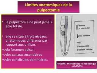 • la pulpectomie ne peut jamais
être totale.
• elle se situe à trois niveaux
anatomiques différents par
rapport aux orifices :
=>du foramen apical ;
=>des canaux secondaires
=>des canalicules dentinaires.
Limites anatomiques de la
pulpectomie
Réf:EMC, Thérapeutique endodontique
23-035-c-10
 