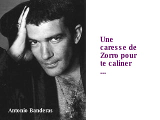 Une caresse de Zorro pour te caliner ... Antonio Banderas 