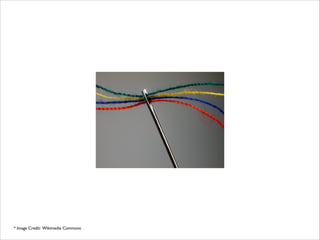 * Image Credit: Wikimedia Commons
 