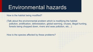 Environmental hazards
How is the habitat being modified?
(Talk about the environmental problem which is modifying the habitat:
pollution, aridification, deforestation, global warming, viruses, illegal hunting,
forests being chopped down, rivers and seas pollution, etc…)
How is the species affected by these problems?

 