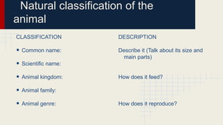 Natural classification of the
animal
CLASSIFICATION

DESCRIPTION

• Common name:
• Scientific name:
• Animal kingdom:
• Animal family:
• Animal genre:

Describe it (Talk about its size and
main parts)
How does it feed?

How does it reproduce?

 