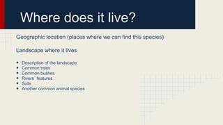 Where does it live?
Geographic location (places where we can find this species)
Landscape where it lives

•
•
•
•
•
•

Description of the landscape
Common trees
Common bushes
Rivers´ features
Soils
Another common animal species

 