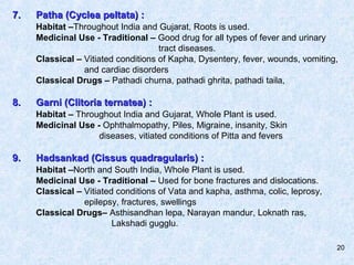 20
7.7. Patha (Cyclea peltata) :Patha (Cyclea peltata) :
Habitat –Throughout India and Gujarat, Roots is used.
Medicinal U...