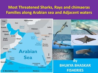 Most Threatened Sharks, Rays and chimaeras
Families along Arabian sea and Adjacent waters
By
BHUKYA BHASKAR
FISHERIES
 