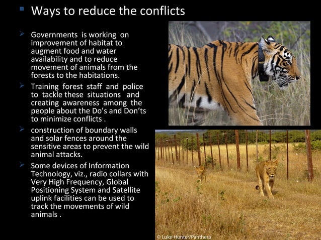 Threats to Biodiversity | PPT