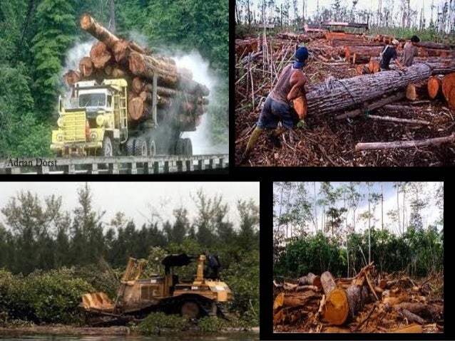 Human activity natural resources