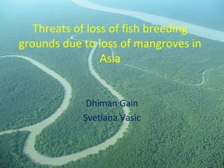 Threats of loss of fish breeding
grounds due to loss of mangroves in
Asia
Dhiman Gain
Svetlana Vasic
 