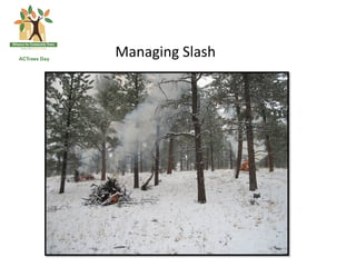 Managing	
  Slash	
  
 