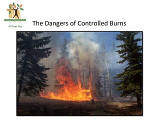 The	
  Dangers	
  of	
  Controlled	
  Burns	
  	
  
 