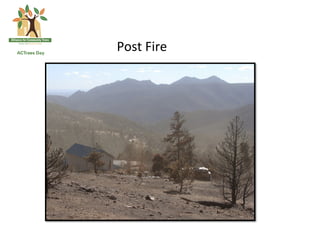 Post	
  Fire	
  
 