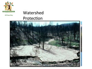 Watershed	
  
Protec*on	
  
 