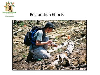Restora*on	
  Eﬀorts	
  
 