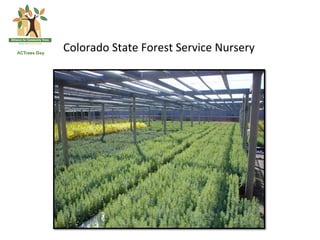 Colorado	
  State	
  Forest	
  Service	
  Nursery	
  
 