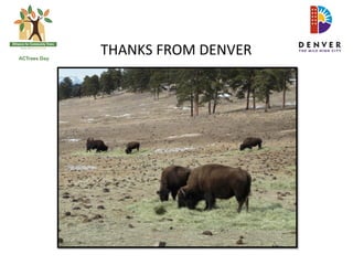 THANKS	
  FROM	
  DENVER	
  
 